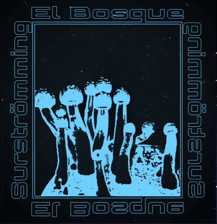 El Bosque