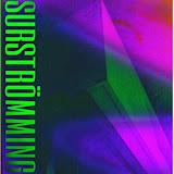 Camiseta Álbum: suicidio en la disco I Surströmming - Imagen 2